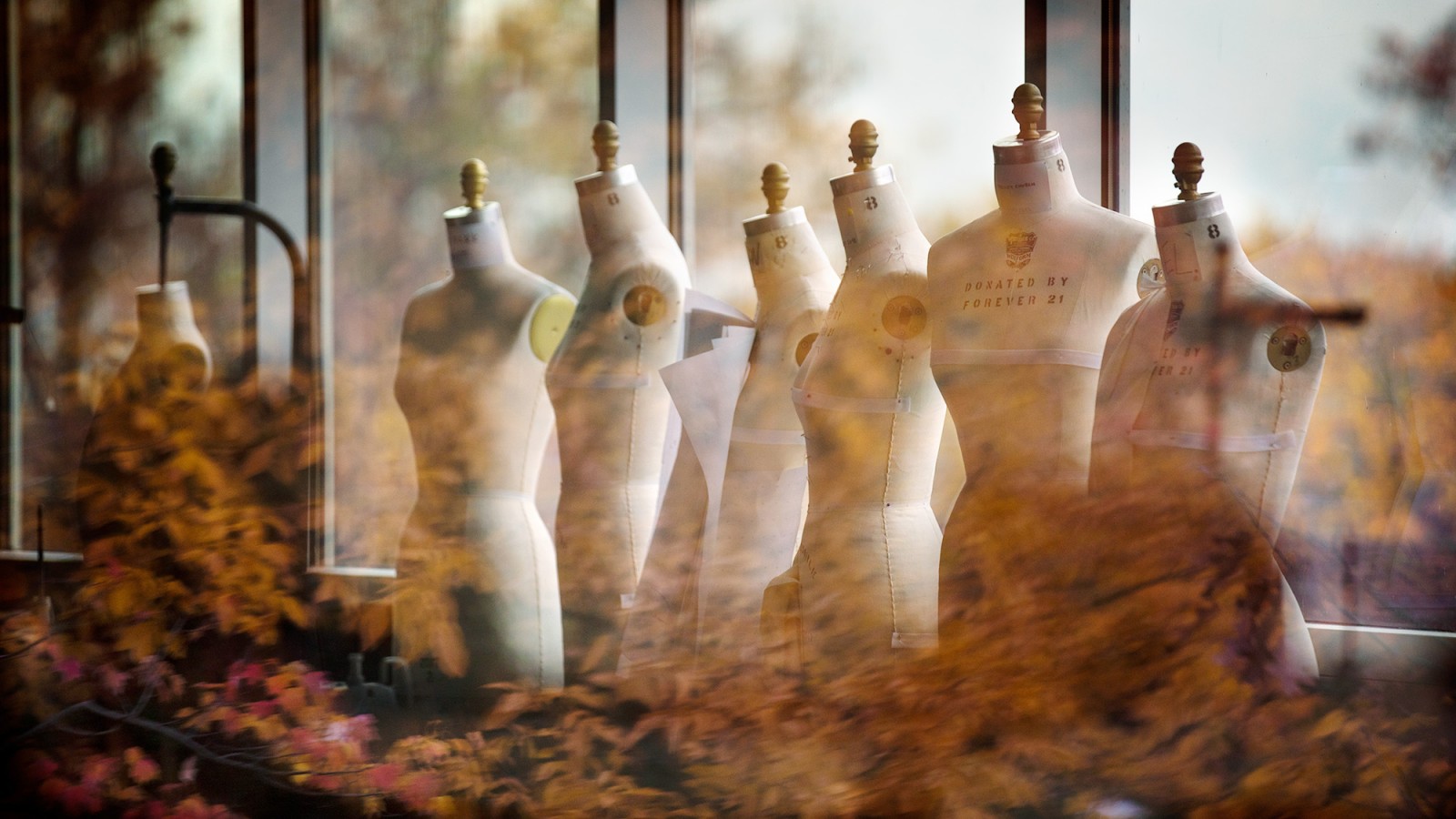 a row of bare design mannequins with a reflection of autumn leaves