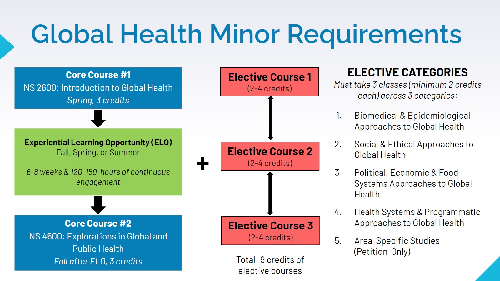 Diagram of the Global Health Minor