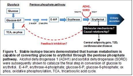 Figure 1-Stable Isotope Tracers - Field Lab