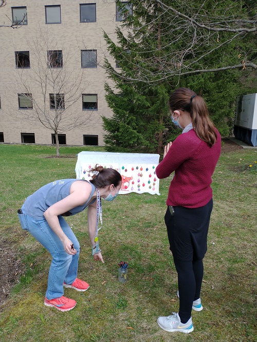 balloons on a board for dart throwing