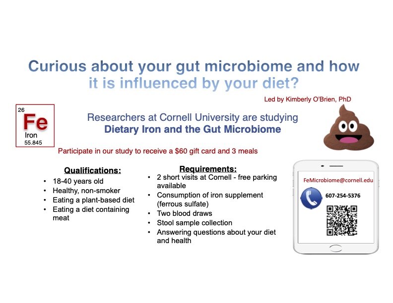 FeMicrobiome