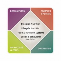 The figure highlights the four primary areas of emphasis in the Division of Nutritional Sciences., which can be investigated at the level of molecules and cells, organisms, populations and complex systems.