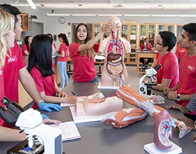instructor with a human model showing students internal organs