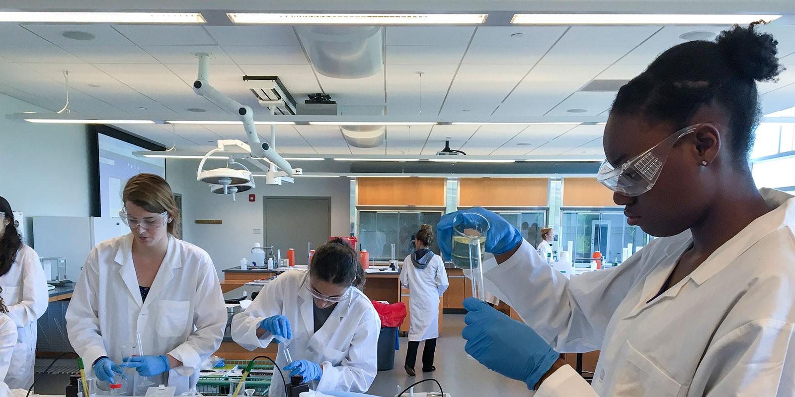undergrads in a research lab