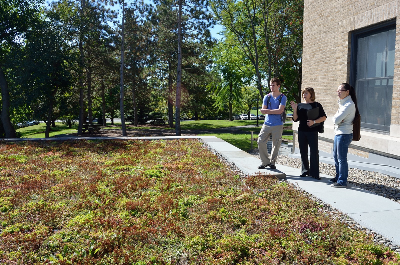 three people outside a building looking at a stretch of ground cover plants