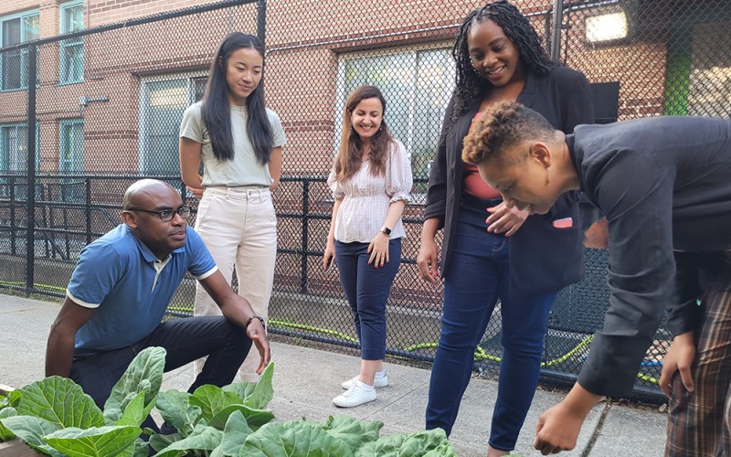 group in an urban garden looking at leafy greens