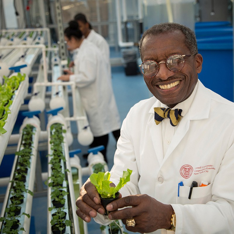 Resource educator at the Food and Finance High School hydroponics lab in NYC.