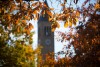 fall leaves with clocktower in the background