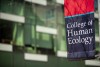 College of Human Ecology lamppost banner in Human Ecology Building courtyard