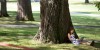 student reading by tree