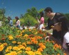 students looking at a flower garden
